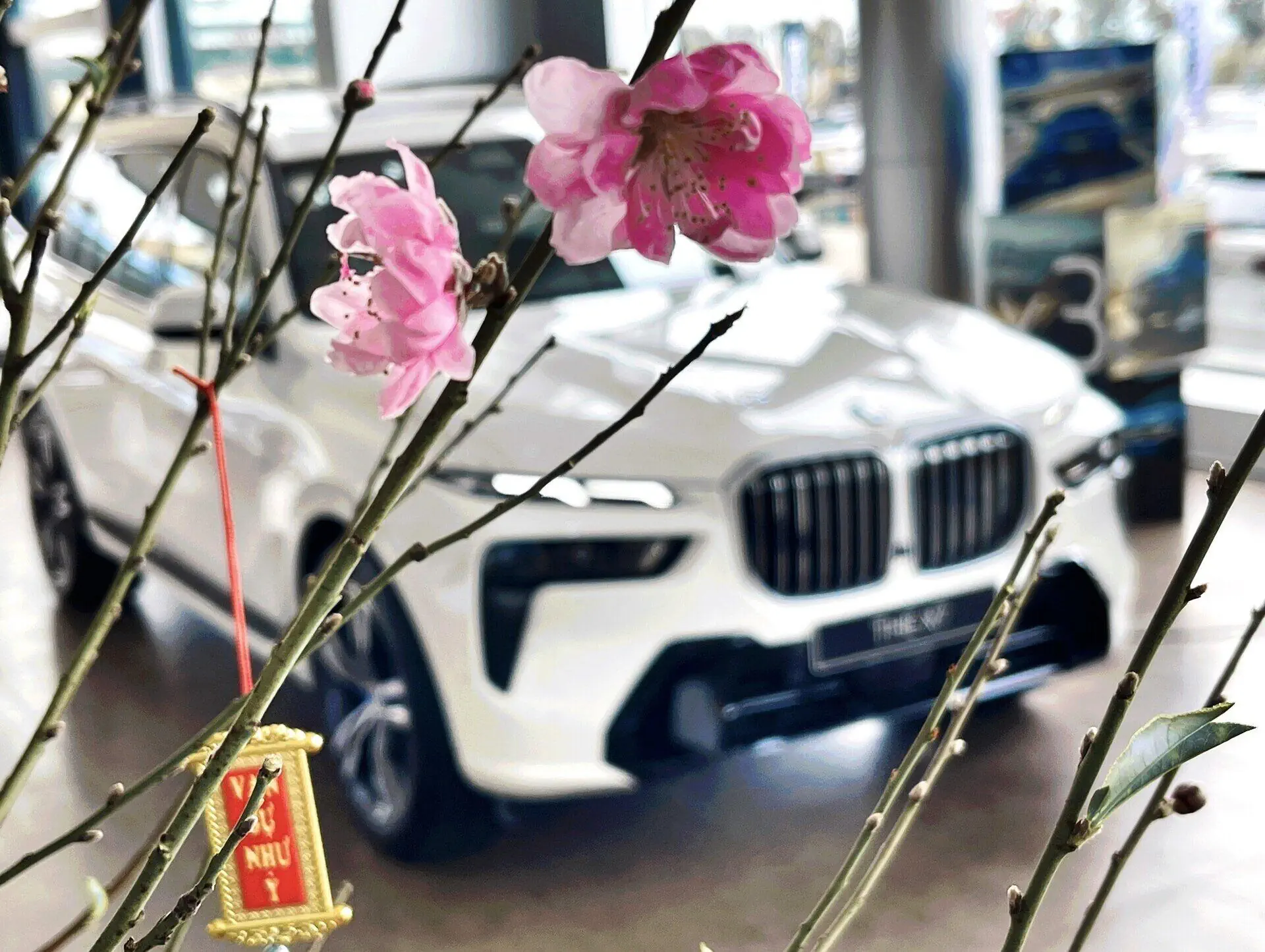 KHÔNG KHÍ LÀM VIỆC SÔI NỔI TẠI THACO AUTO QUANGR NINH NGÀY ĐẦU NĂM.