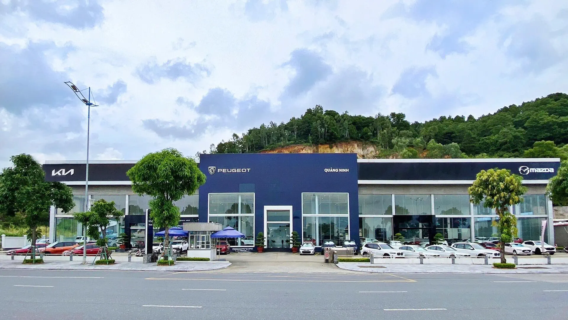 THACO AUTO QUẢNG NINH - CÔNG TY TỈNH THÀNH SỞ HỮU TỔ HỢP SHOWROOM KINH DOANH ĐA THƯƠNG HIỆU